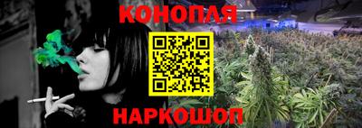 гидра Ноябрьск